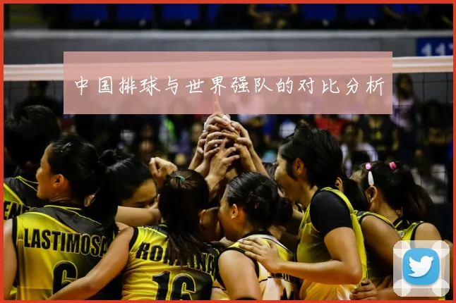 中国排球与世界强队的对比分析