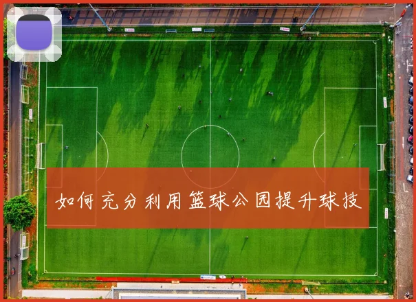 如何充分利用篮球公园提升球技
